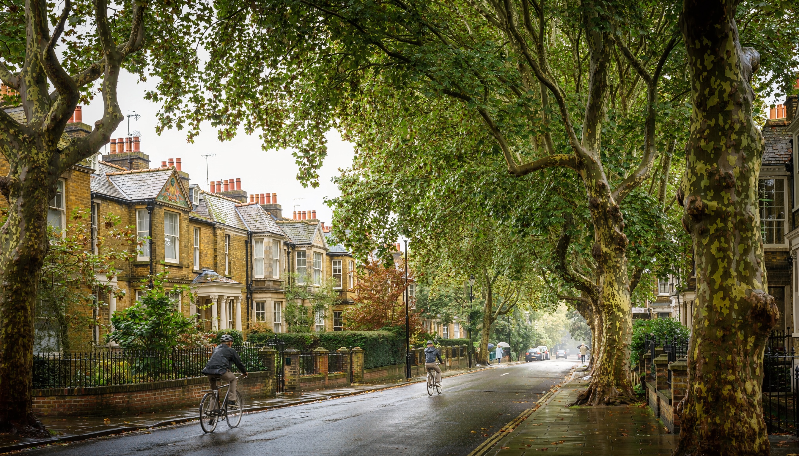 Tree-lined residential street with wet pavement, traditional brick houses, cyclists riding, and pedestrians carrying umbrellas.