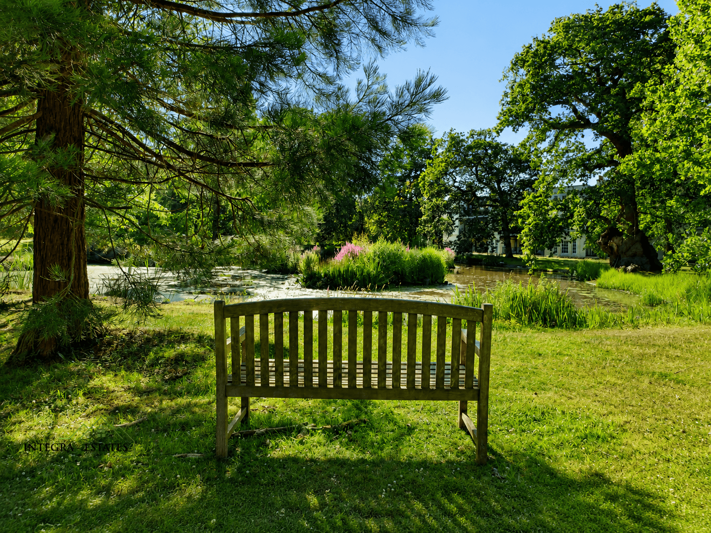 Serene outdoor scene with a wooden bench under a large tree, overlooking a pond surrounded by lush greenery and pink blossoms. A white building is partially visible beyond the trees, with sunlight and clear blue skies creating a peaceful, natural atmosphere.