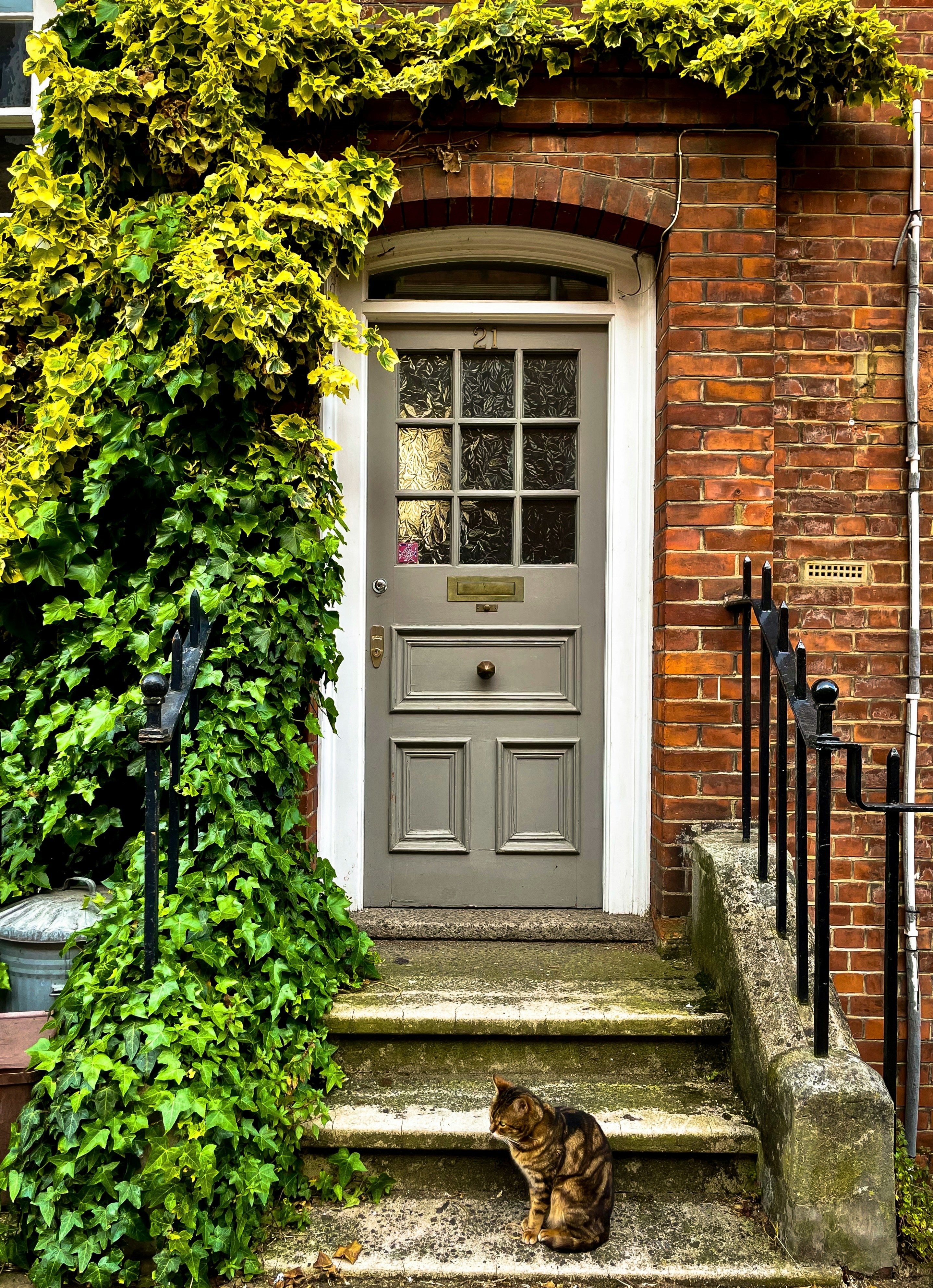 A grey wooden door with frosted glass panes, a mail slot, and brass doorknob marks the entrance to a brick house. A white frame and brick arch surround the door, with ivy climbing the wall to the left. A metal trash bin is partially hidden behind the greenery. Concrete steps lead up to the door, bordered by a black metal railing, and a brown tabby cat sits on the bottom step, adding warmth to the scene.