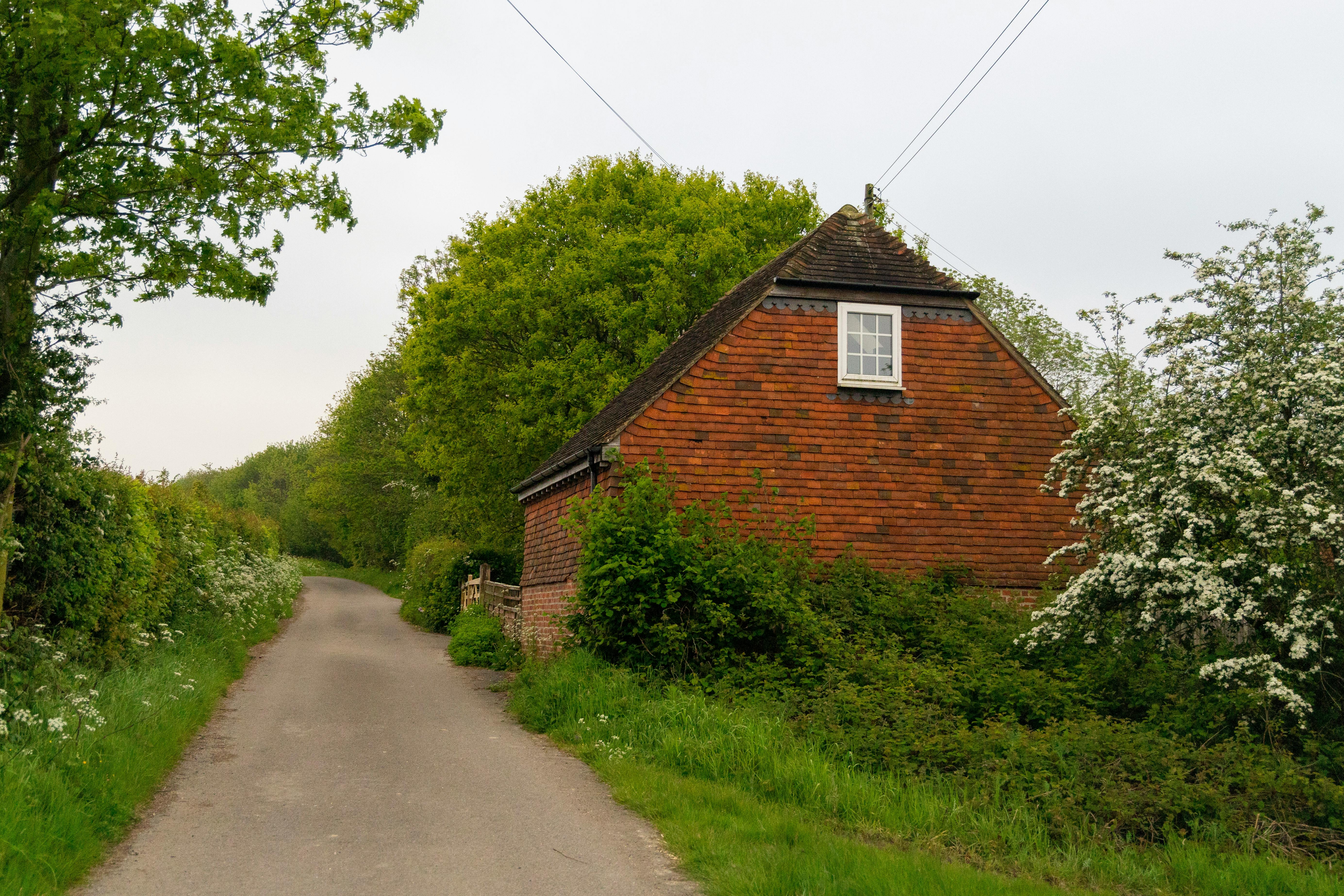 A narrow paved road curves gently through a lush countryside bordered by flowering bushes and tall trees. On the right, a quaint brick house with a steep roof and white-framed upper window peeks through the greenery. Overhead utility wires stretch across the bright, partly cloudy sky, adding a subtle touch of rural infrastructure to the peaceful scene.